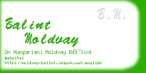 balint moldvay business card